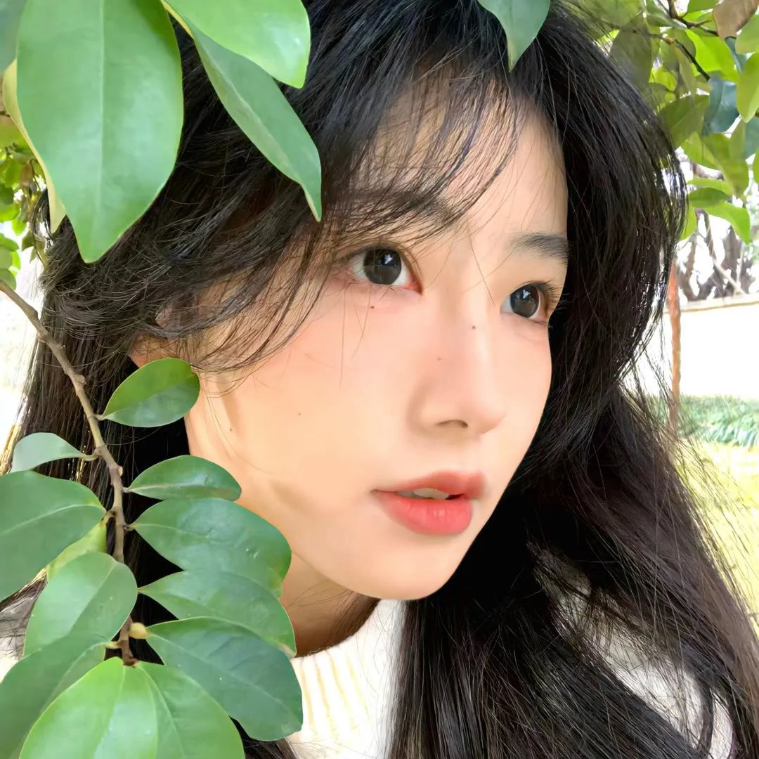 学长与女友